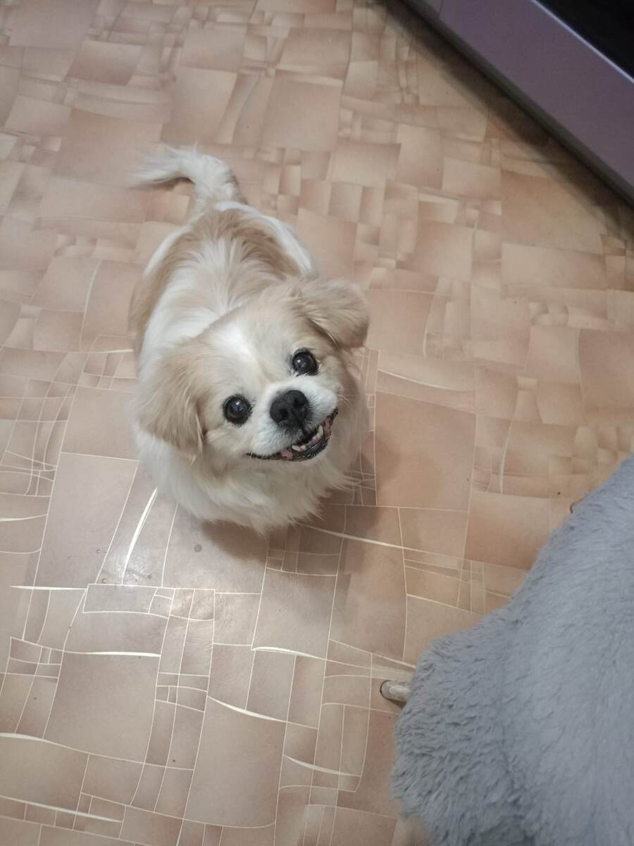 Стеша-Булочка знакомится с новым домом.