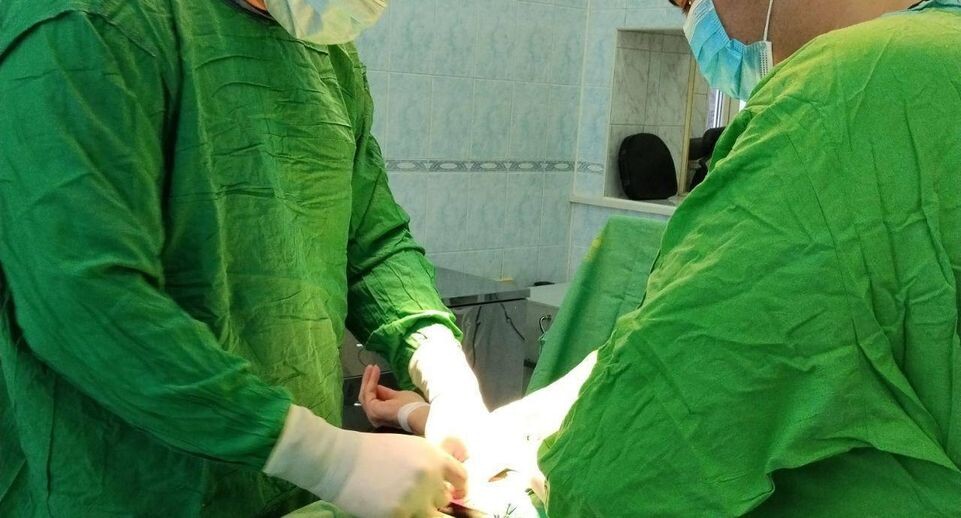    Пресс-служба администрации Балашихи