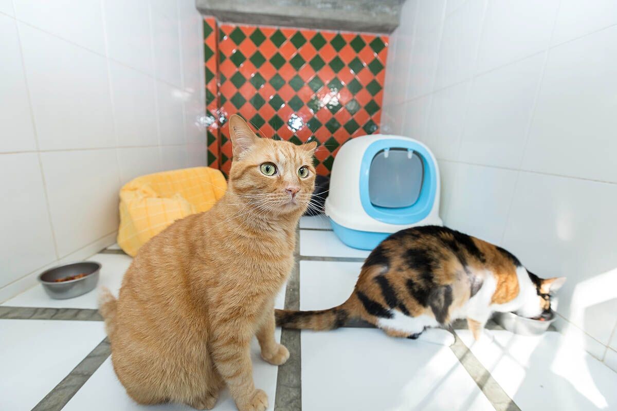 А сам-то сейчас на юге загорает… Источник: shutterstock.com📷
