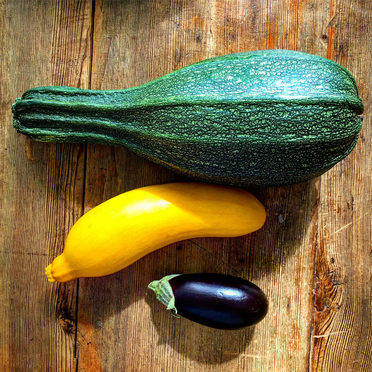 https://unsplash.com/s/photos/zucchini-harvest