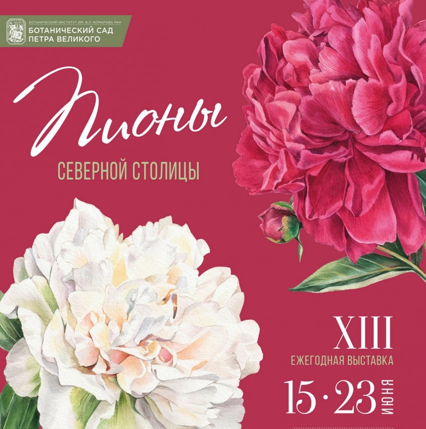 "Пионы Северной столицы"