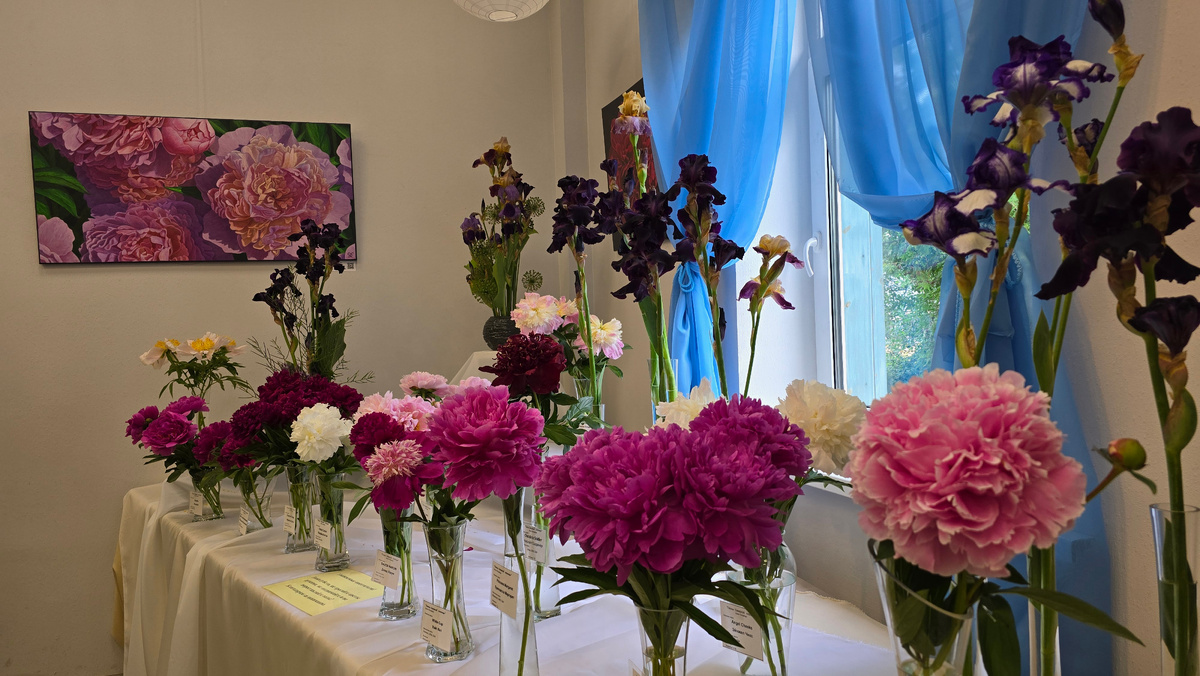 "Пионы Северной столицы"