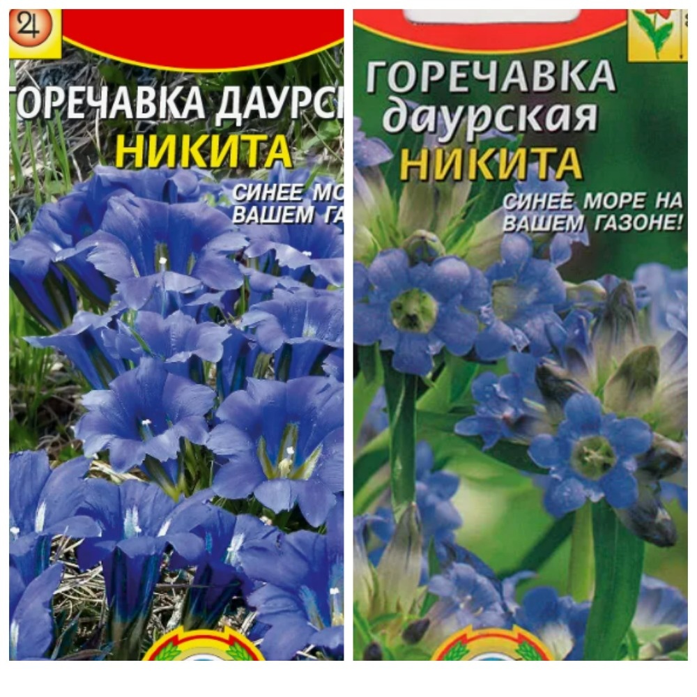 фото из сети, коллаж мой