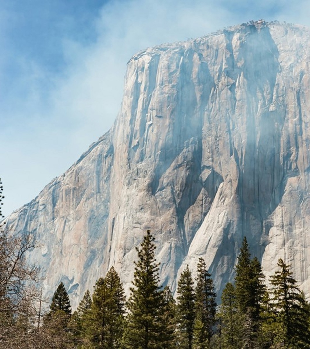 Источник: https://unsplash.com/  