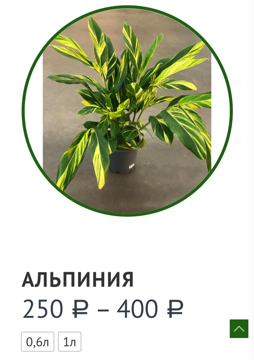 Скрин с сайта продавца