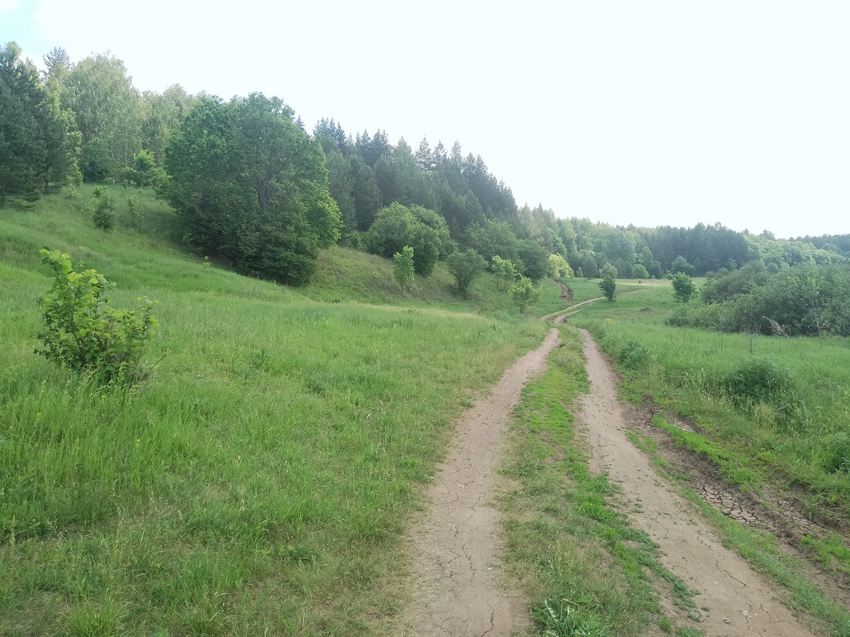 Все фото в статье автора канала. Это дорога до кордона, где главный вход