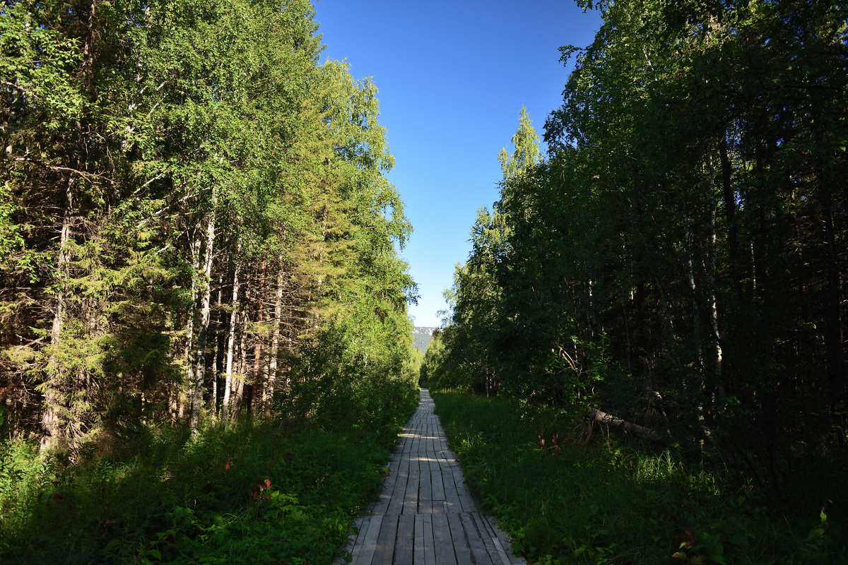 Экотропа на Хребет Зюраткуль, 2023 г.