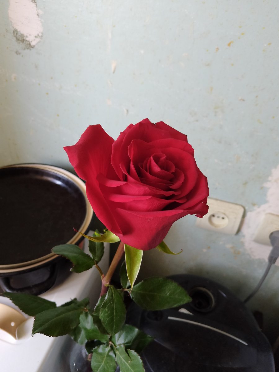 Фото автора. 