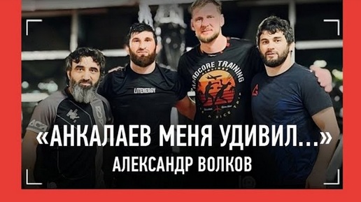 Волков перед боем в UFC: «У Павловича достаточно ошибок», «С Анкалаевым тяжело»