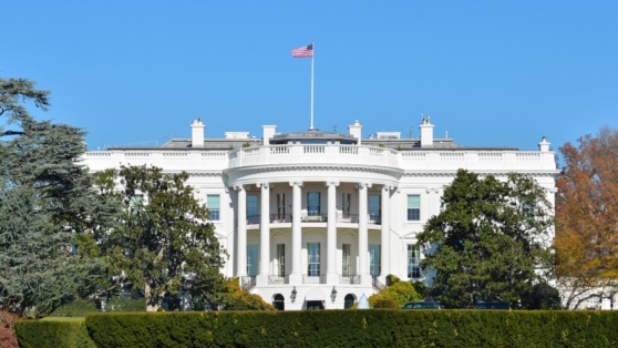    В США заявили, что будут поддерживать Украину до начала переговоров с РФ Анастасия Романова