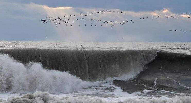    РИА «Новости»