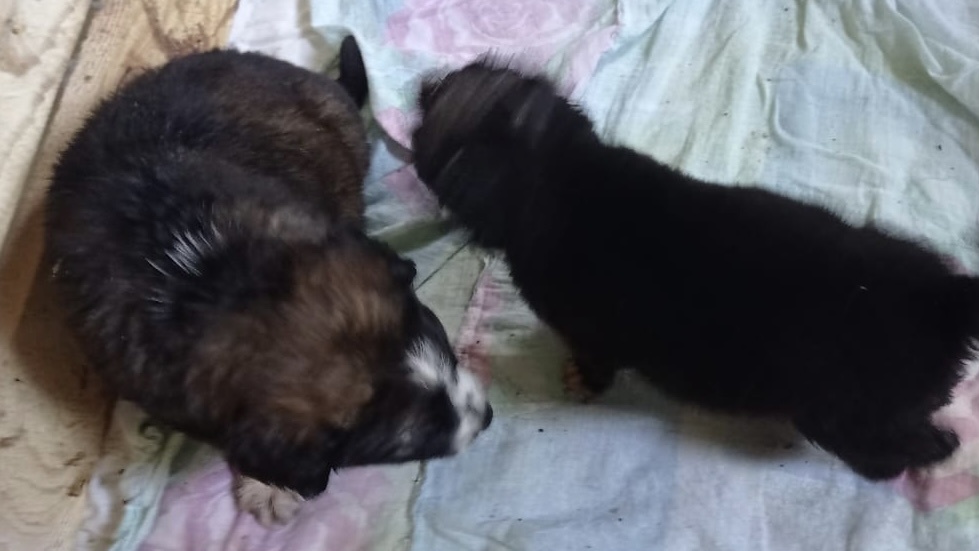 -2-3