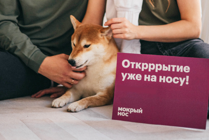 Можно ли совмещать бизнес и работу в найме? | Мокрый нос | франшиза ...