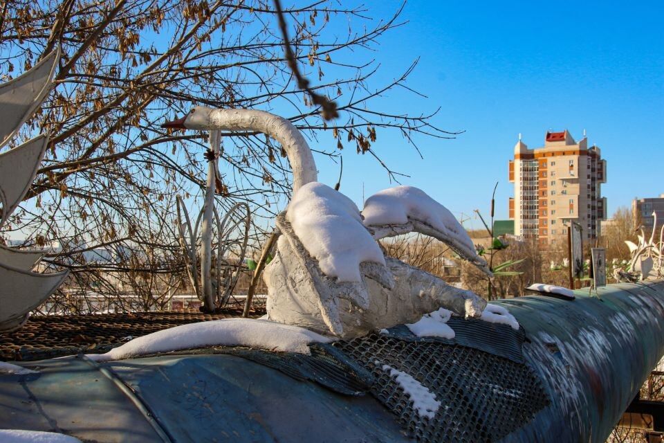    Лебедь Андрюша . Источник: Виталий Барабаш/"Толк"