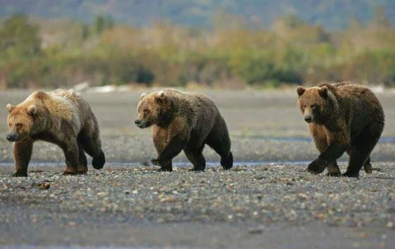 Ещё пятнадцать на подходе))