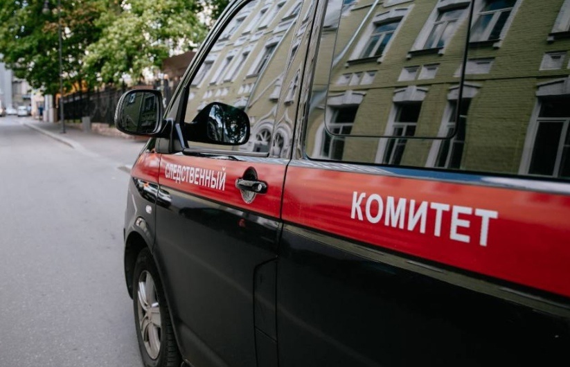    Фото: СК Москвы Анфиса Слепцова