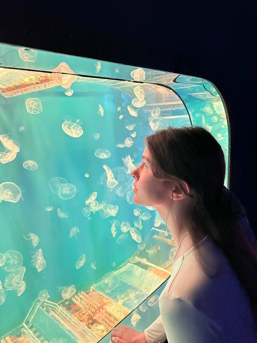 Как же удивительно под водой!