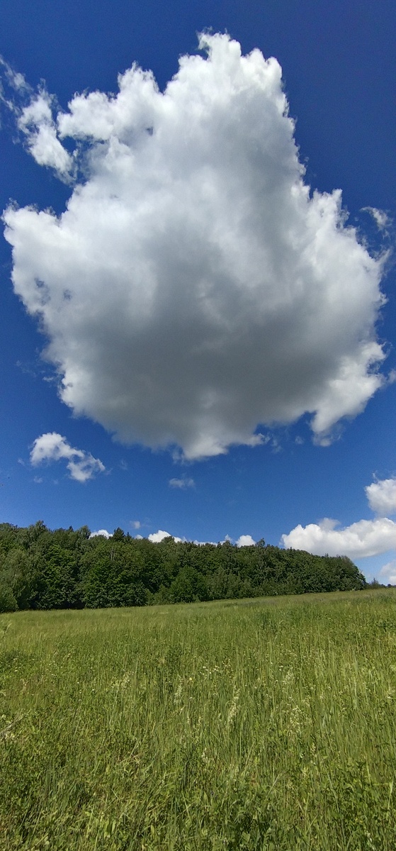 Личное фото