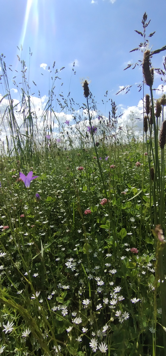 Личное фото