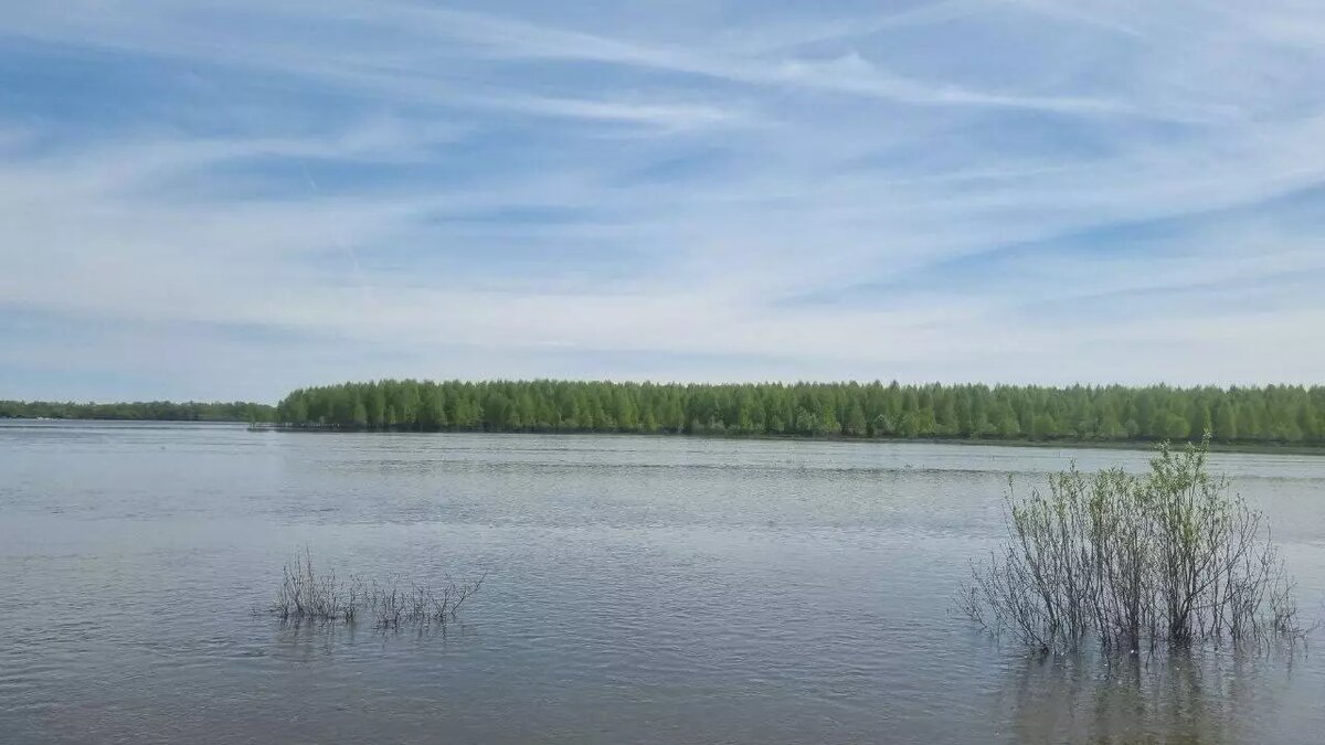     Источник: телеграм-канал губернатора Омской области Виталия Хоценко