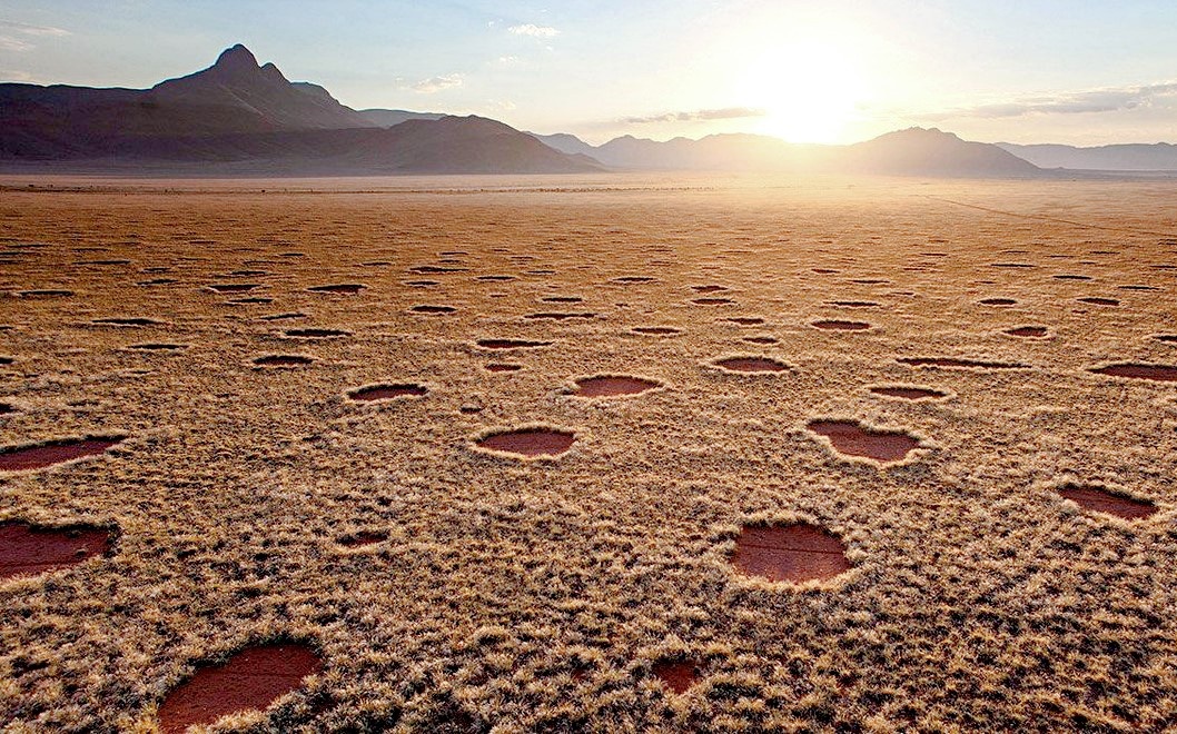 Может это неуловимые русские кроты? Фото: Science Magazine