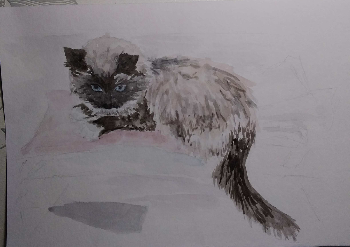 Тысяча извинений за некачественное фото 