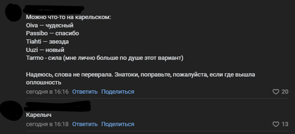    Жители Петрозаводска предлагают имена для гранитного тигра на Почтовой площади