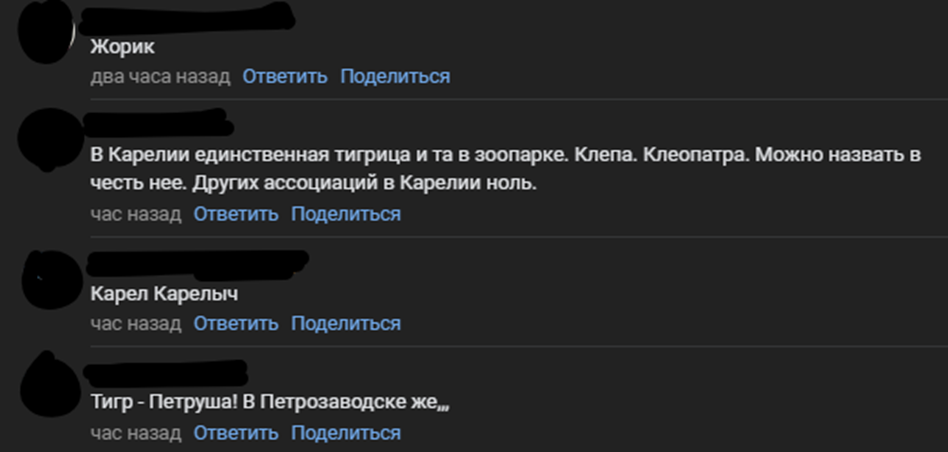    Жители Петрозаводска предлагают имена для гранитного тигра на Почтовой площади