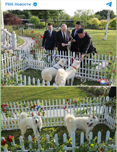    фото: скрин t.me/rian_ru/250024