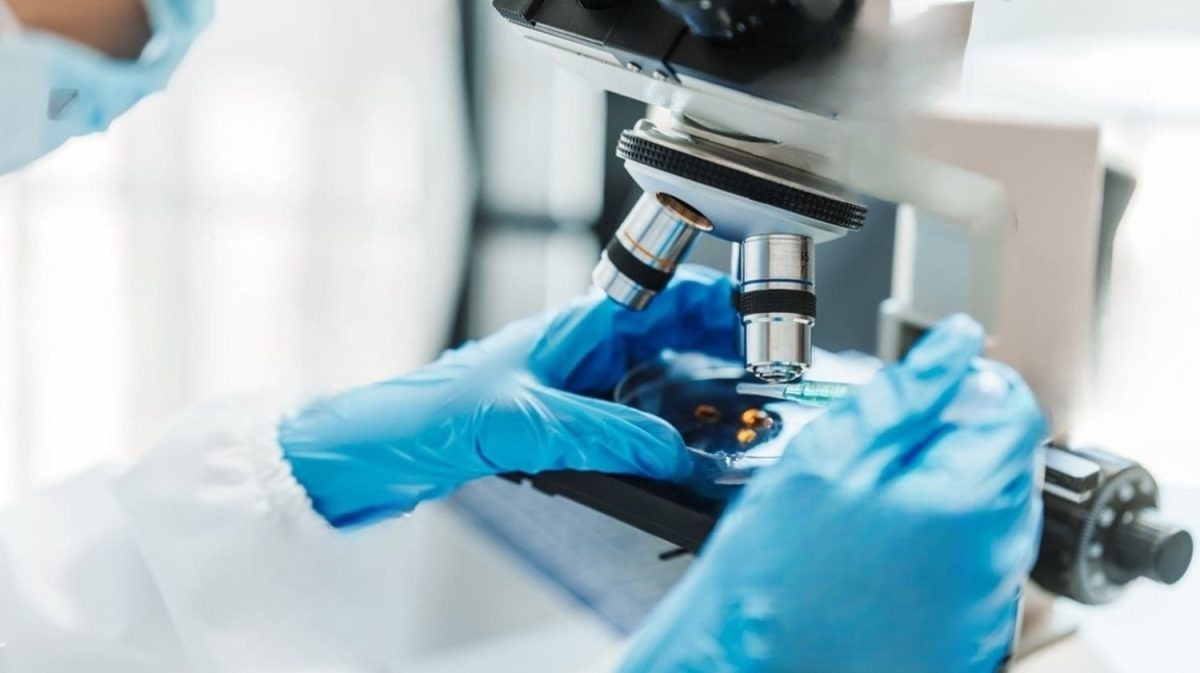    Наномедицина стала одним из самых перспективных направлений науки в последние годы / © Shutterstock, R Photography Background