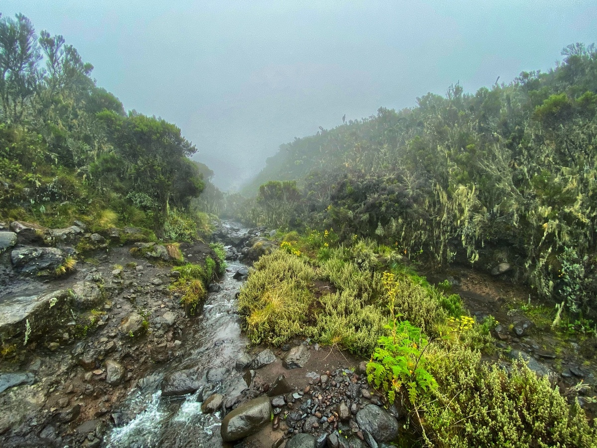 Пейзажи здесь как будто первобытные, вот-вот на горизонте появится динозавр.
