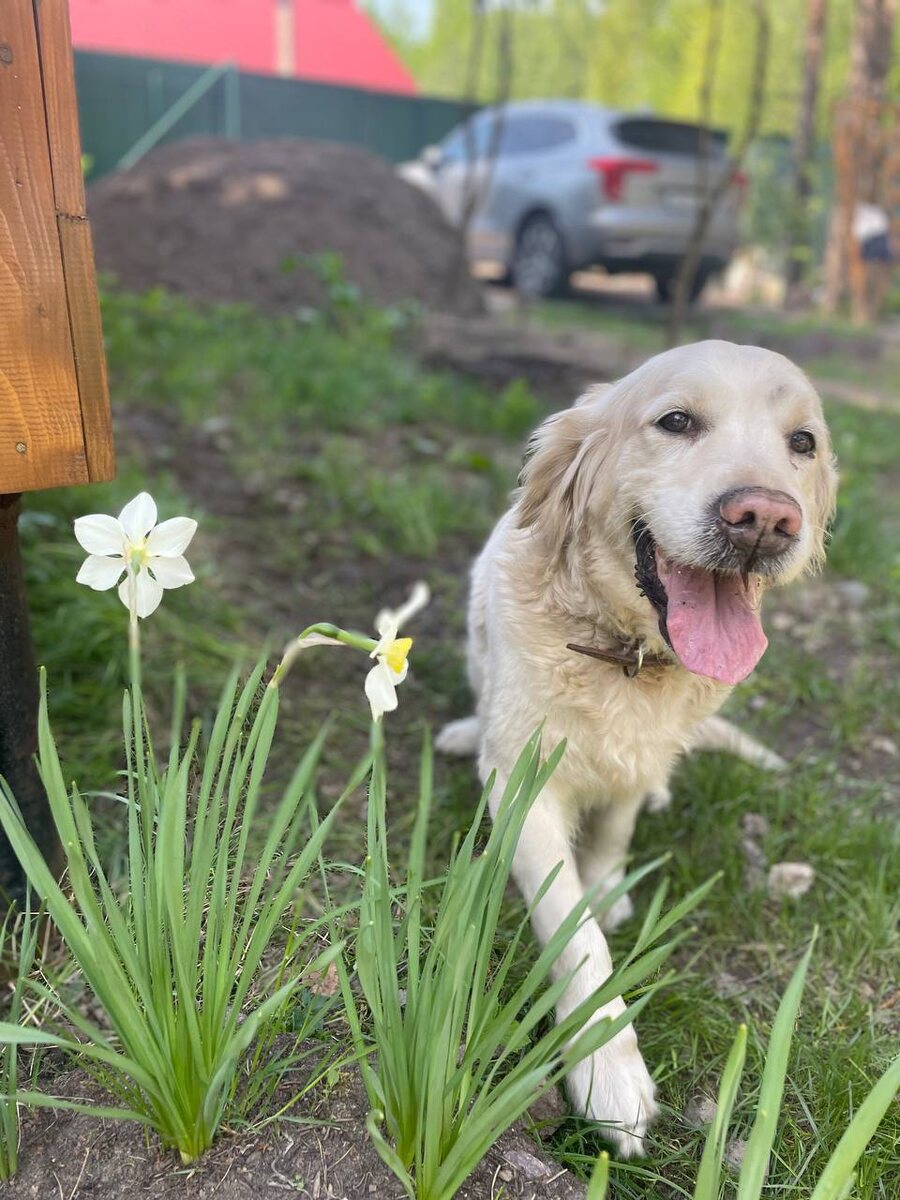 Главный ужас-ужасный  - это дача, по ходу.  