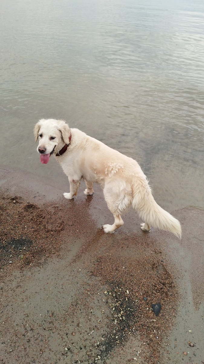 Но если можно купаться, то терпимо. 