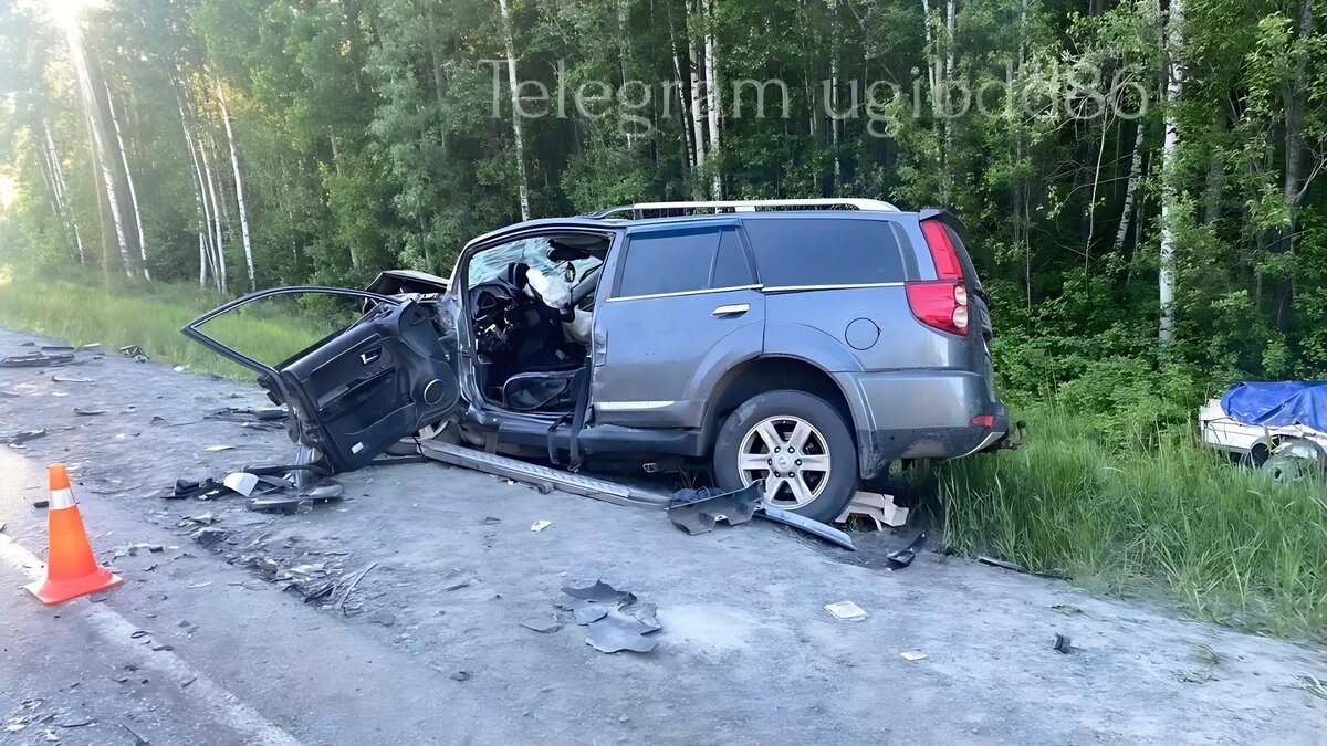     Источник: Госавтоинспекция Югры