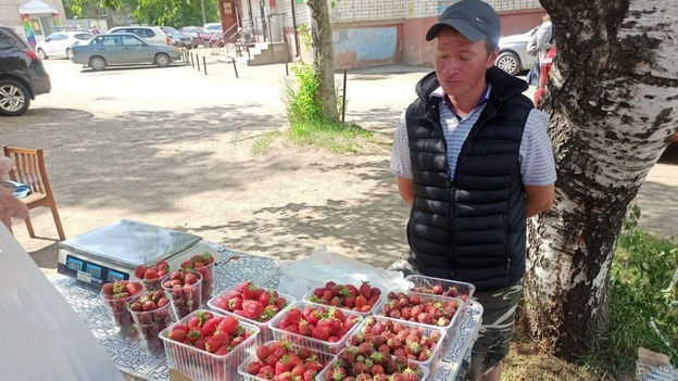    Кировчане стали чаще жаловаться на несанкционированную торговлю