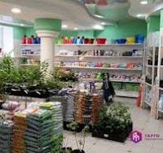 фото из сети