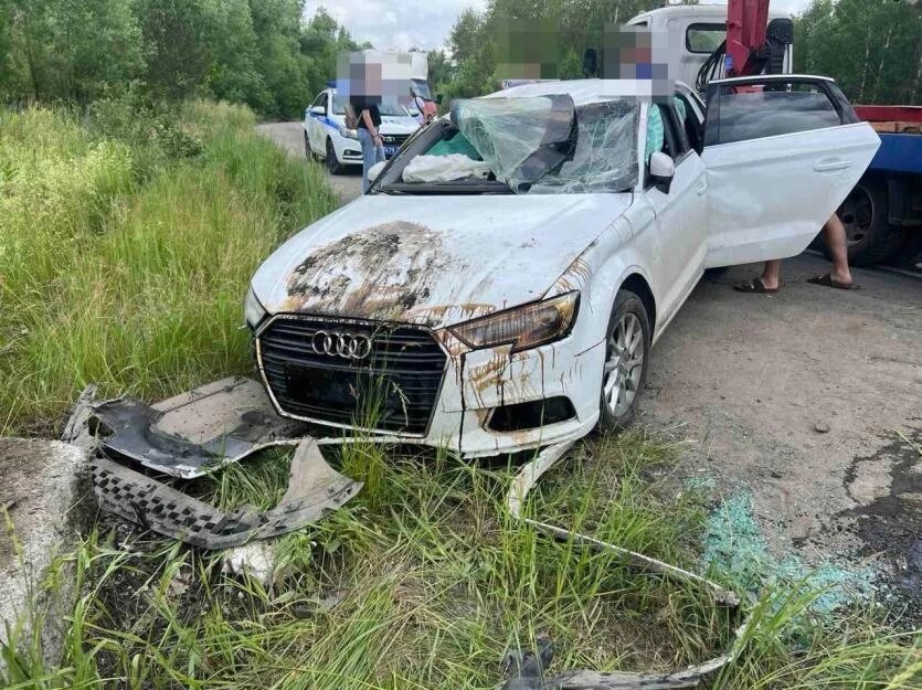 Фото: УГИБДД России по Челябинской области