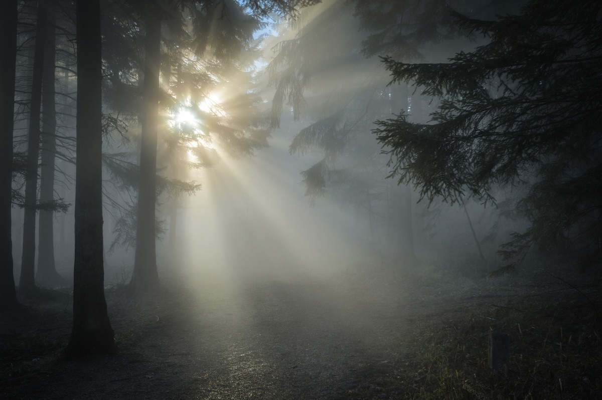 © pixabay.com/Martin_Winkler_Fotografie