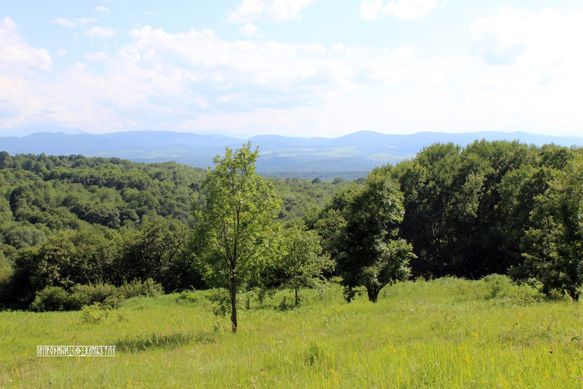 Рязанова гора. Мостовской район