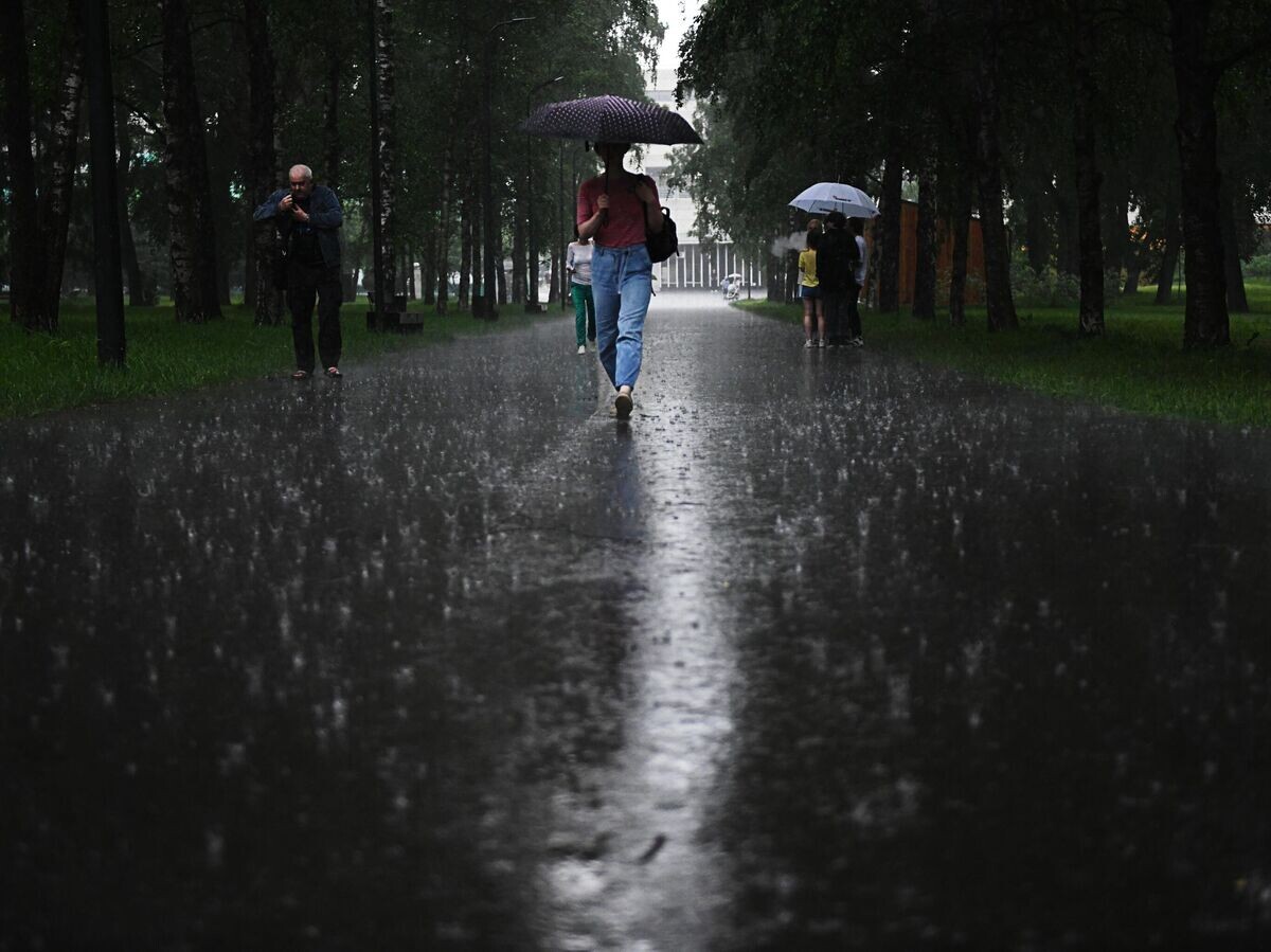   Прохожие во время дождя© РИА Новости / Валерий Мельников
