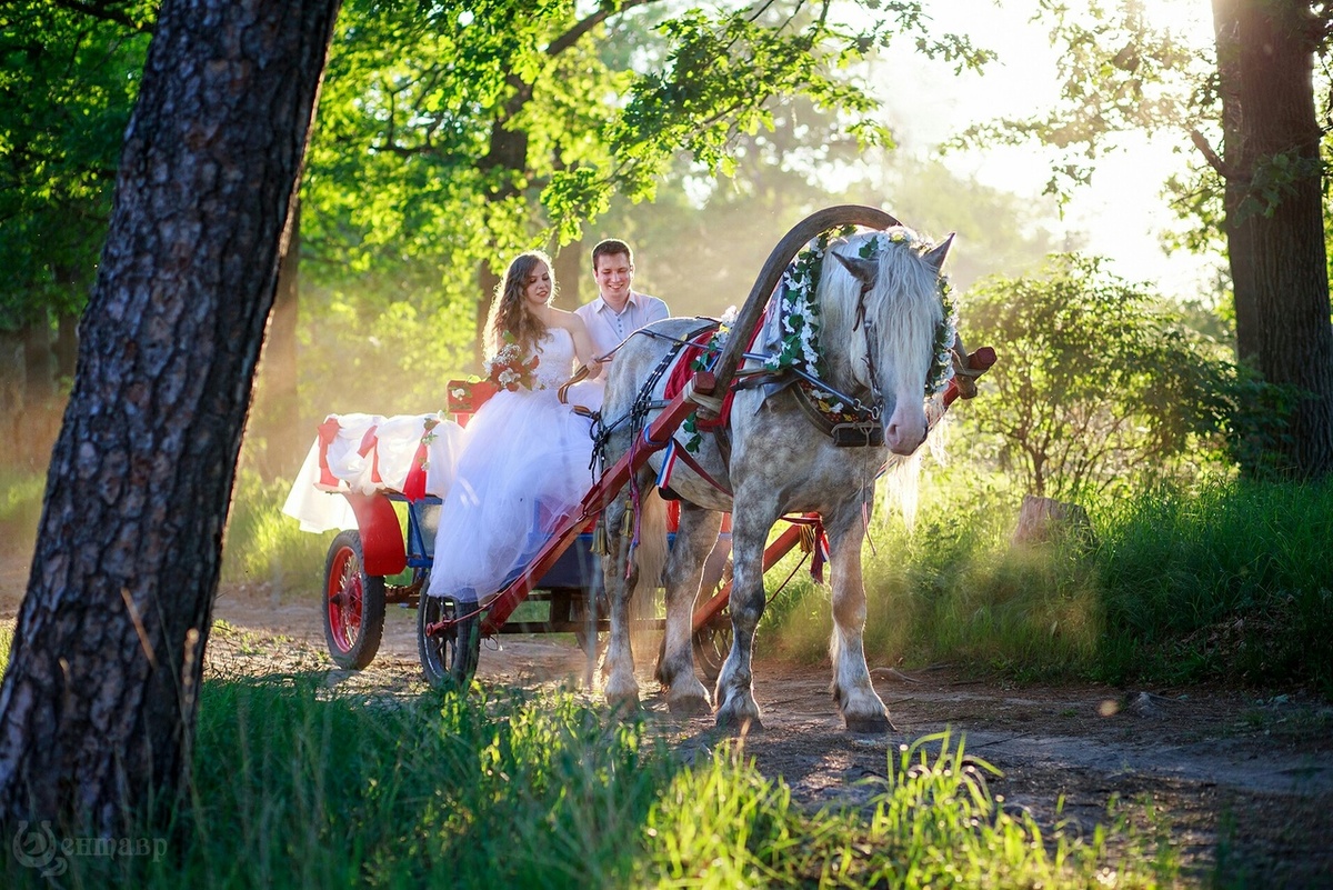 Неблагоприятное время для венчания и свадьбы | Строки на веере | Дзен