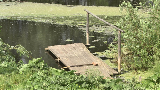 Народный фронт хочет очистить малые реки и водоёмы Курганской области