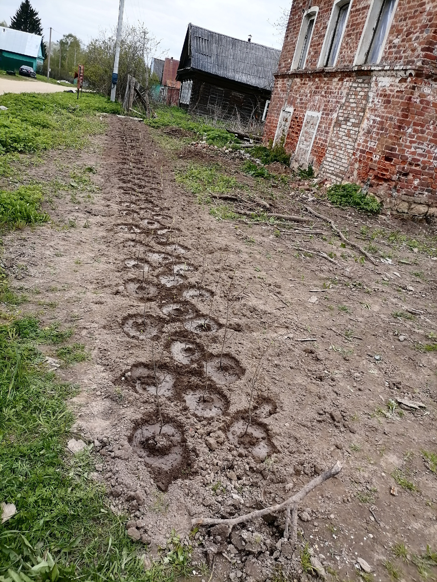 Это уже результат труда