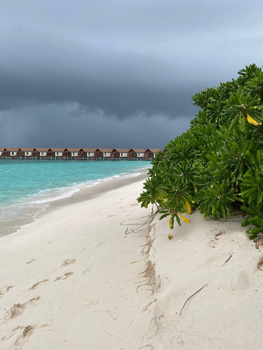 Reethi Farid Resort