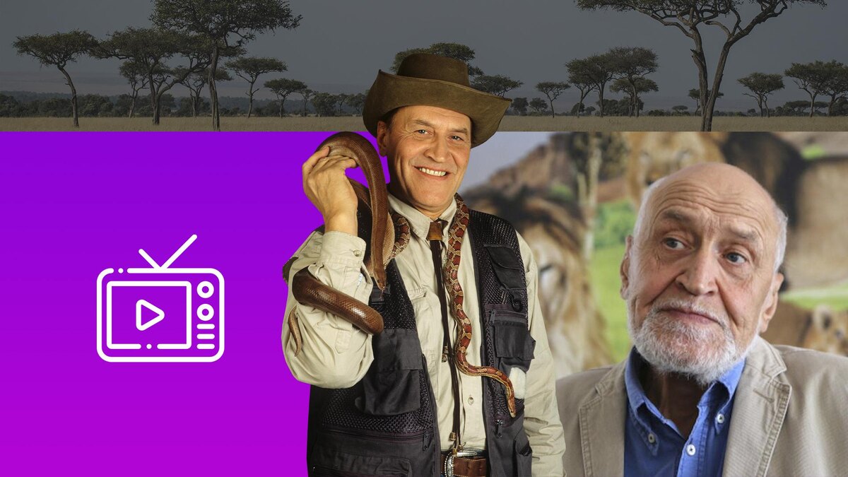 Коллаж 78.ru: Yurii Zheludev/globallookpress.com, kino-teatr.ru, unsplash.com, flaticon.com/Freepik 