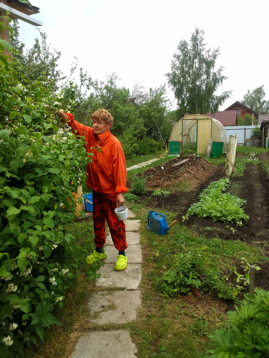 И почему маленькая, часть большого куста, где жасмин!)))