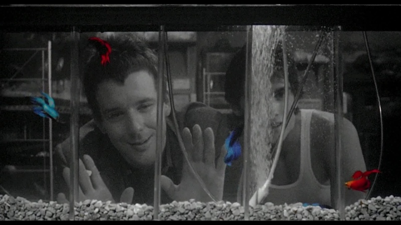 В галерее – кадры из фильма Копполы «Бойцовая рыбка»