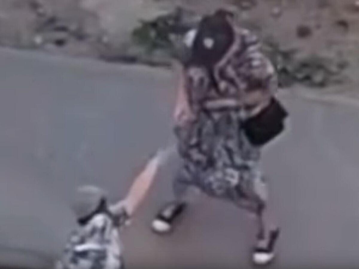    Кадр видео, на котором мальчика выгуливают на веревке в Перми© соцсети