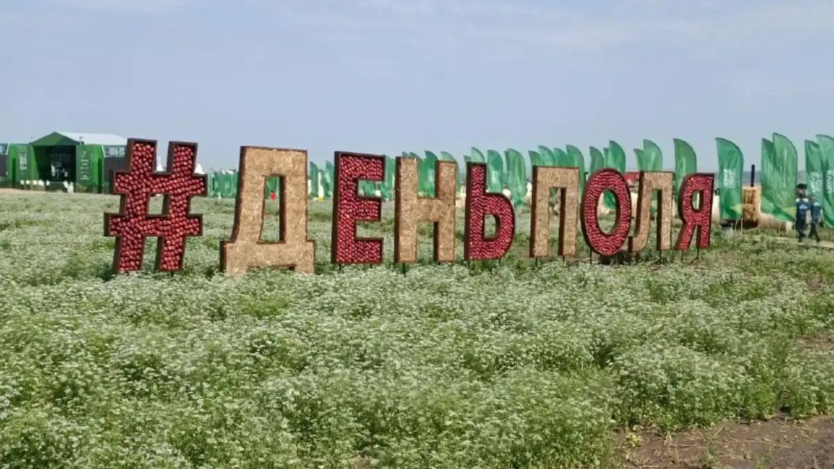 Фото: © Владимир Исаенко / Glavpahar.ru Выставка «Всероссийский День поля – 2024»