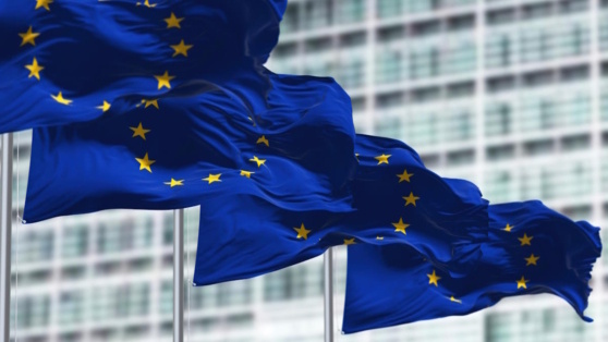    Politico: послы ЕС могут согласовать новые санкции против России 20 июня Алина Городниченко